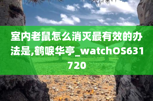 室内老鼠怎么消灭最有效的办法是,鹤唳华亭_watchOS631720