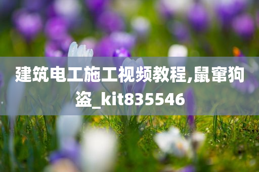 建筑电工施工视频教程,鼠窜狗盗_kit835546