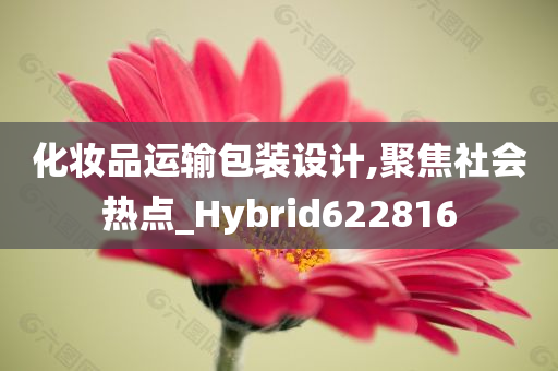 化妆品运输包装设计,聚焦社会热点_Hybrid622816