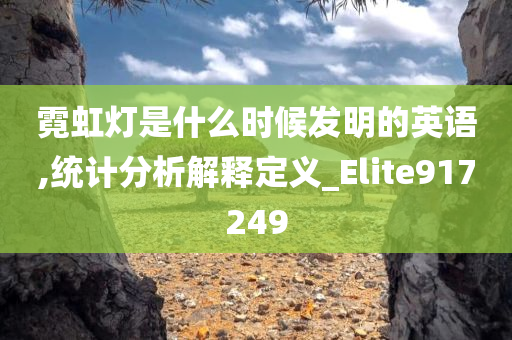 霓虹灯是什么时候发明的英语,统计分析解释定义_Elite917249