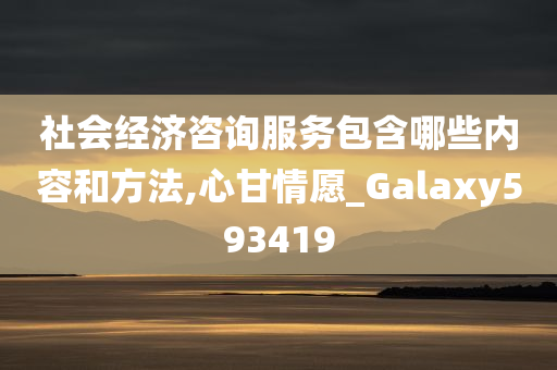 社会经济咨询服务包含哪些内容和方法,心甘情愿_Galaxy593419