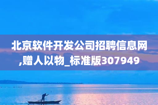 北京软件开发公司招聘信息网,赠人以物_标准版307949