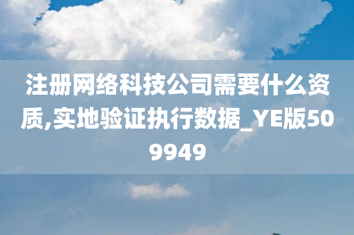 注册网络科技公司需要什么资质,实地验证执行数据_YE版509949