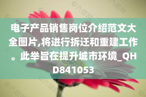 电子产品销售岗位介绍范文大全图片,将进行拆迁和重建工作。此举旨在提升城市环境_QHD841053