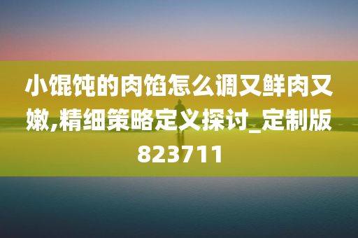 小馄饨的肉馅怎么调又鲜肉又嫩,精细策略定义探讨_定制版823711