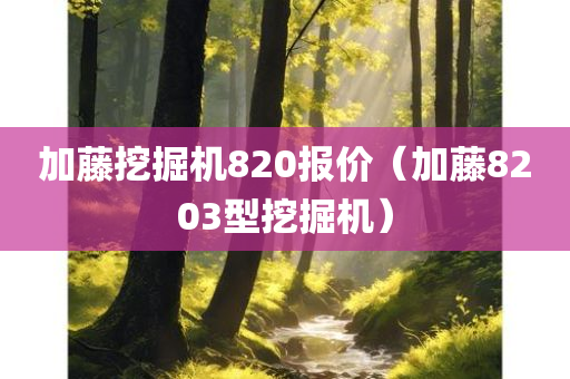 加藤挖掘机820报价（加藤8203型挖掘机）