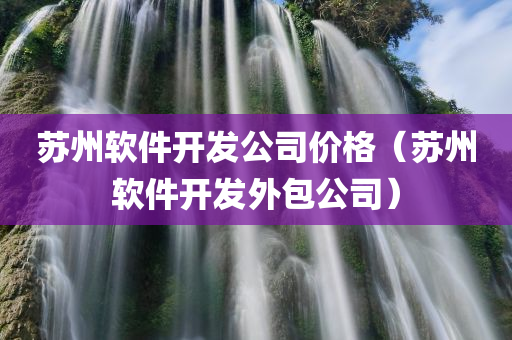 苏州软件开发公司价格（苏州软件开发外包公司）