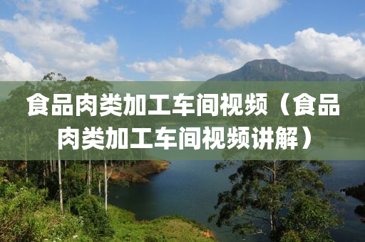 食品肉类加工车间视频（食品肉类加工车间视频讲解）