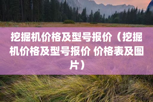 挖掘机价格及型号报价（挖掘机价格及型号报价 价格表及图片）