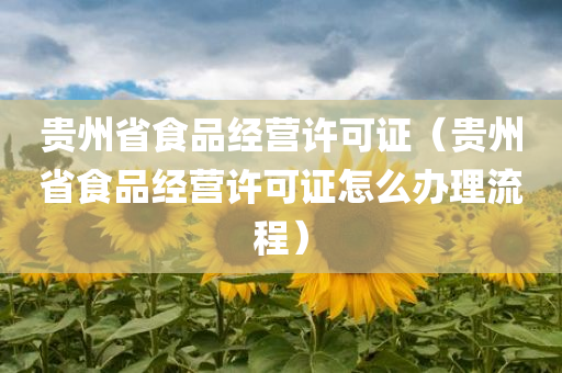 贵州省食品经营许可证（贵州省食品经营许可证怎么办理流程）