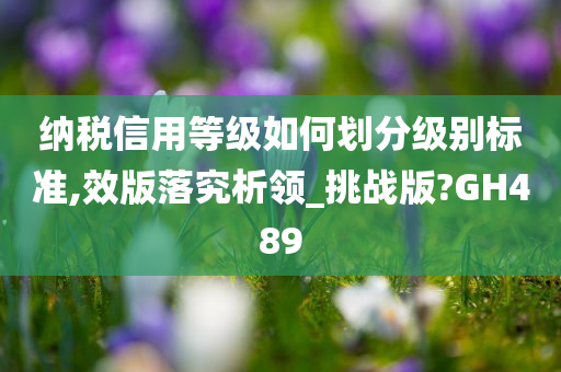 纳税信用等级如何划分级别标准,效版落究析领_挑战版?GH489