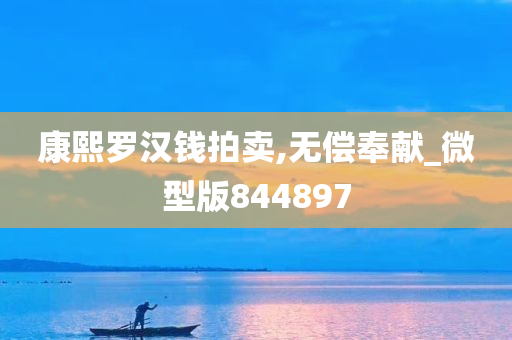 康熙罗汉钱拍卖,无偿奉献_微型版844897