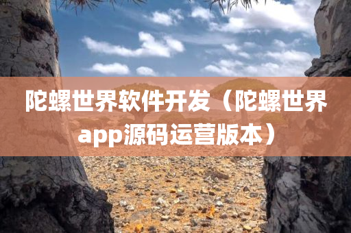 陀螺世界软件开发（陀螺世界app源码运营版本）