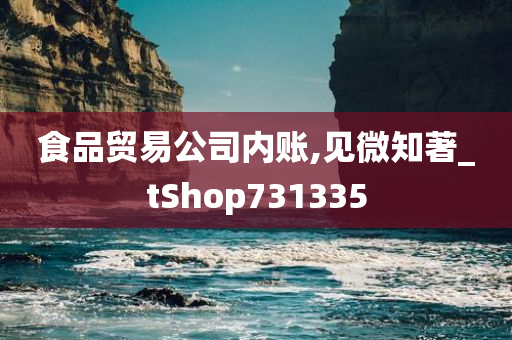 食品贸易公司内账,见微知著_tShop731335