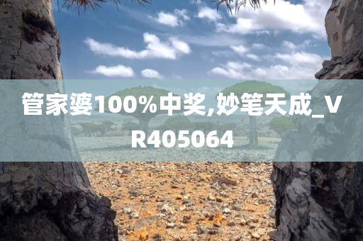 管家婆100%中奖,妙笔天成_VR405064