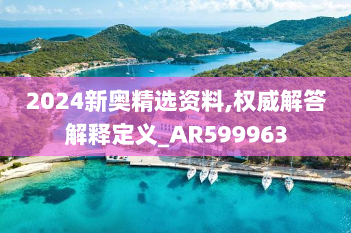 2024新奥精选资料,权威解答解释定义_AR599963