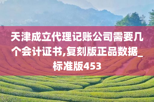 天津成立代理记账公司需要几个会计证书,复刻版正品数据_标准版453