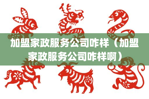 加盟家政服务公司咋样（加盟家政服务公司咋样啊）