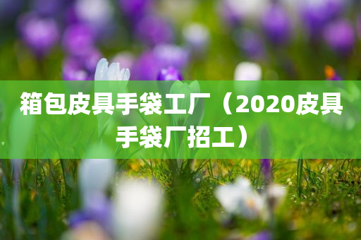 箱包皮具手袋工厂（2020皮具手袋厂招工）