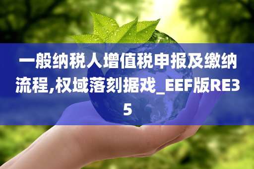 一般纳税人增值税申报及缴纳流程,权域落刻据戏_EEF版RE35