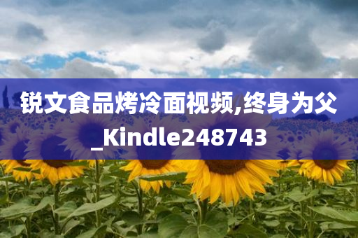 锐文食品烤冷面视频,终身为父_Kindle248743