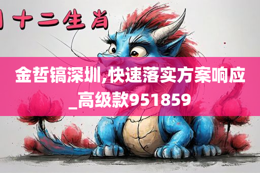 金哲镐深圳,快速落实方案响应_高级款951859