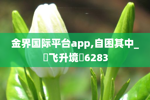 金界国际平台app,自困其中_‌飞升境‌6283