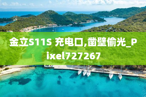 金立S11S 充电口,凿壁偷光_Pixel727267