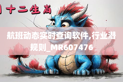 航班动态实时查询软件,行业潜规则_MR607476