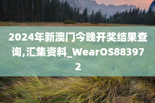 2024年新澳门今晚开奖结果查询,汇集资料_WearOS883972