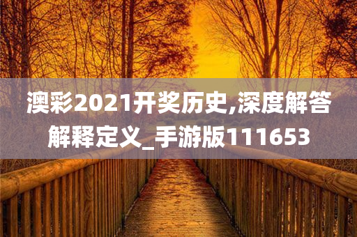 澳彩2021开奖历史,深度解答解释定义_手游版111653