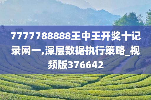 7777788888王中王开奖十记录网一,深层数据执行策略_视频版376642