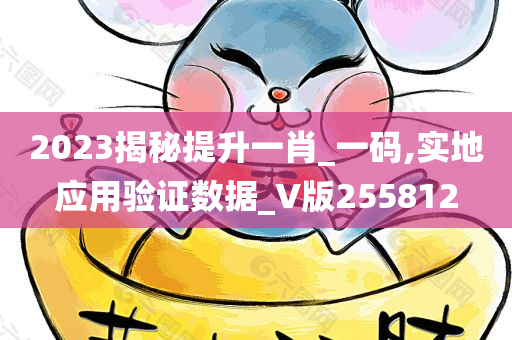 2023揭秘提升一肖_一码,实地应用验证数据_V版255812