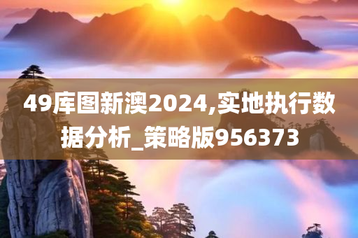 49库图新澳2024,实地执行数据分析_策略版956373