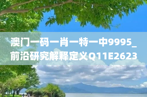 澳门一码一肖一特一中9995_前沿研究解释定义Q11E2623