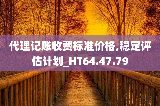 代理记账收费标准价格,稳定评估计划_HT64.47.79