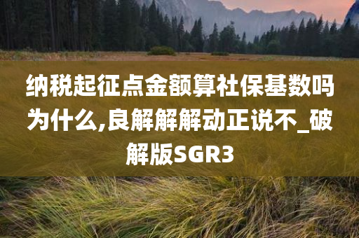 纳税起征点金额算社保基数吗为什么,良解解解动正说不_破解版SGR3