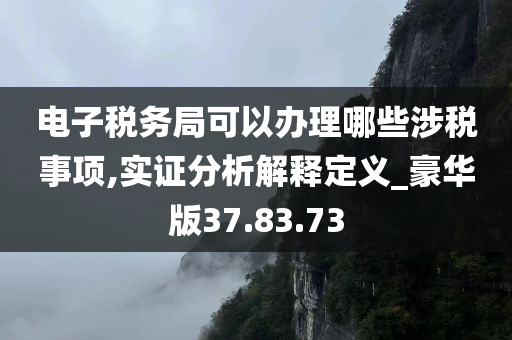 电子税务局可以办理哪些涉税事项,实证分析解释定义_豪华版37.83.73