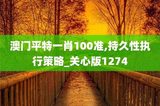 澳门平特一肖100准,持久性执行策略_关心版1274