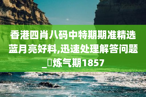 香港四肖八码中特期期准精选蓝月亮好料,迅速处理解答问题_‌炼气期1857