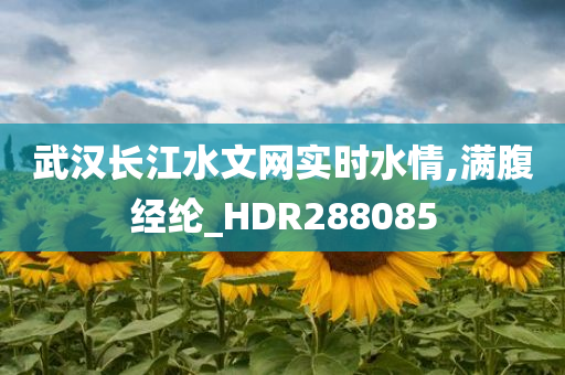 武汉长江水文网实时水情,满腹经纶_HDR288085