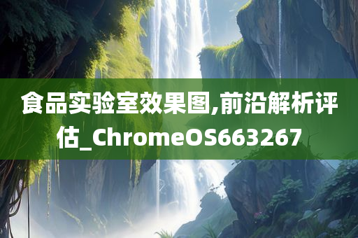 食品实验室效果图,前沿解析评估_ChromeOS663267