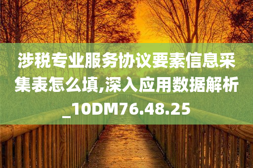 涉税专业服务协议要素信息采集表怎么填,深入应用数据解析_10DM76.48.25