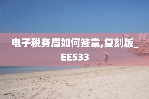 电子税务局如何签章,复刻版_EE533