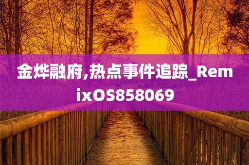 金烨融府,热点事件追踪_RemixOS858069