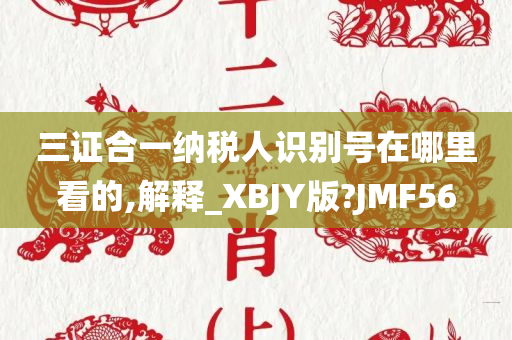 三证合一纳税人识别号在哪里看的,解释_XBJY版?JMF56