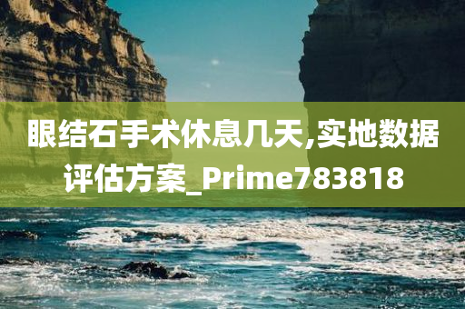 眼结石手术休息几天,实地数据评估方案_Prime783818