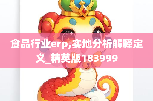 食品行业erp,实地分析解释定义_精英版183999