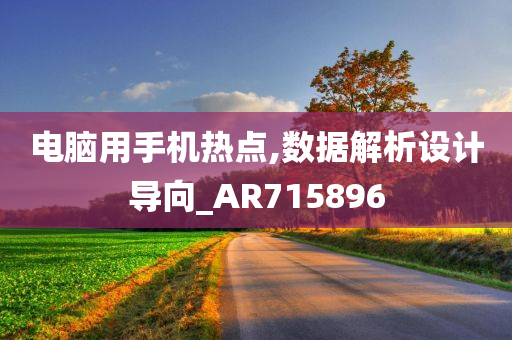 电脑用手机热点,数据解析设计导向_AR715896