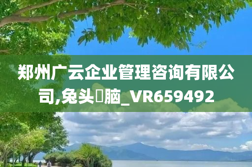 郑州广云企业管理咨询有限公司,兔头麞脑_VR659492